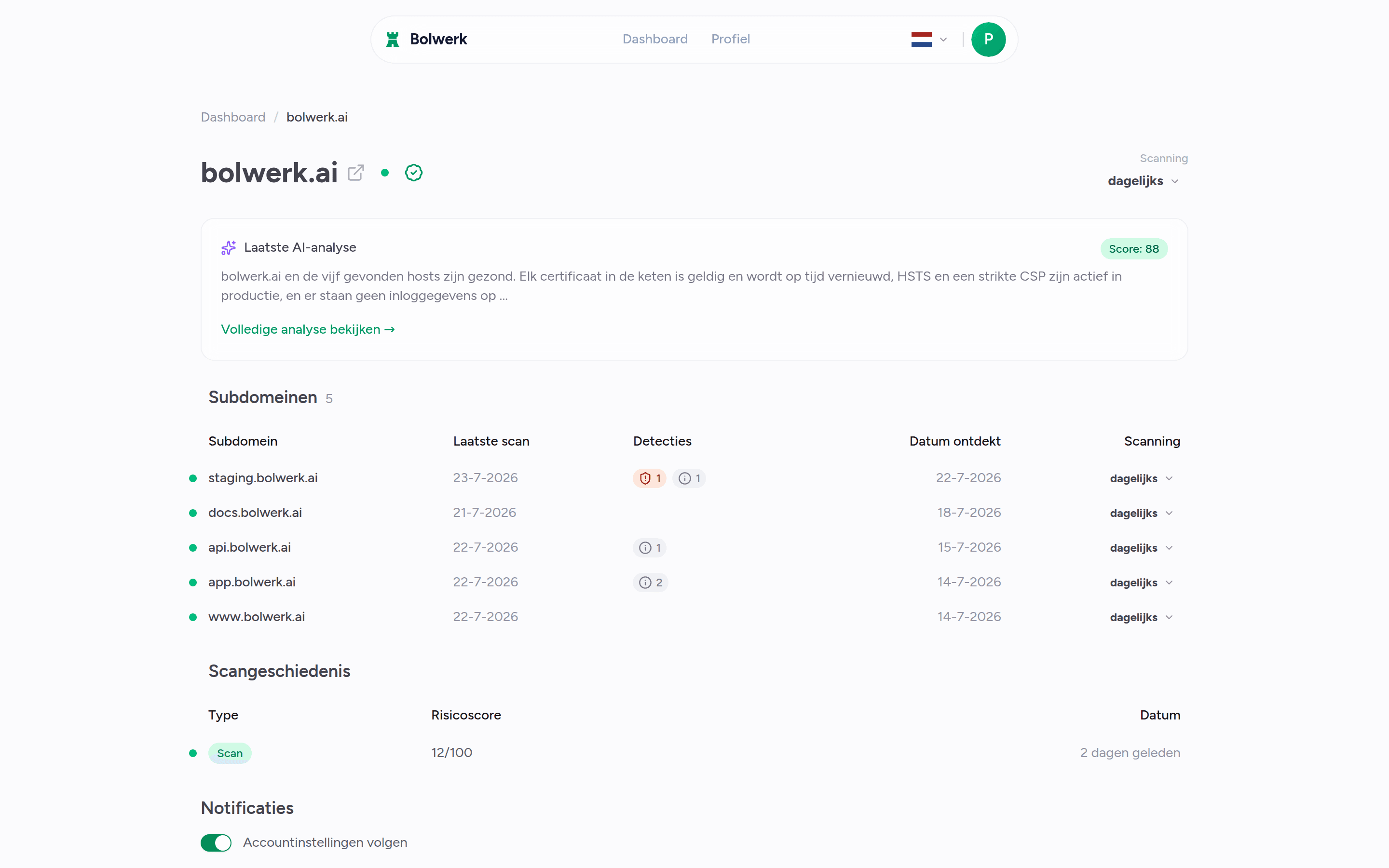 Bolwerk-domeinoverzicht met gevonden subdomeinen, scanbevindingen en AI-beveiligingsanalyse